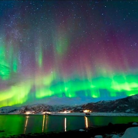 In The Heart Of The Aurora Borealis - Tromso City Exterior photo